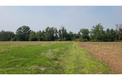 L1 CSM#6815 County Z Road, Arkdale, WI 54613