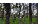 LOT 73 Pine Drive, Montello, WI 53949