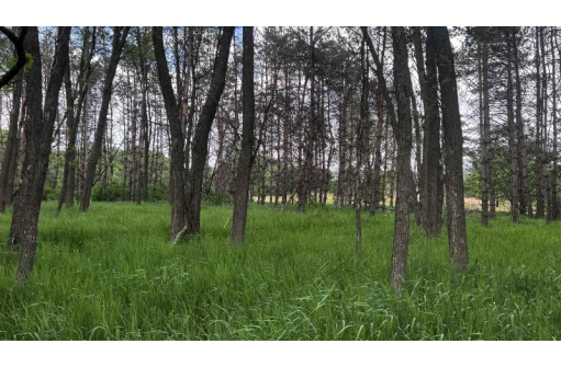 LOT 73 Pine Drive, Montello, WI 53949