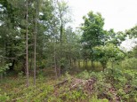 LOT8 Spruce Trail Spring Green, WI 53588