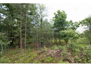LOT8 Spruce Trail Spring Green, WI 53588