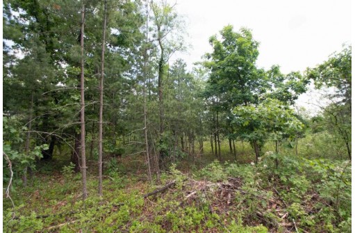 LOT8 Spruce, Spring Green, WI 53588