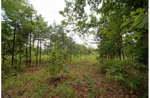 LOT8 Spruce, Spring Green, WI 53588