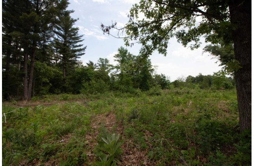 LOT8 Spruce, Spring Green, WI 53588