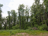 LOT13 Spruce Spring Green, WI 53588