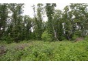 LOT13 Spruce, Spring Green, WI 53588