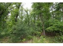 LOT13 Spruce, Spring Green, WI 53588