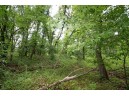LOT13 Spruce, Spring Green, WI 53588