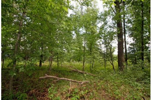 LOT13 Spruce, Spring Green, WI 53588