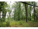 LOT13 Spruce, Spring Green, WI 53588