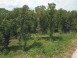 LOT11 Spruce Tr Spring Green, WI 53588