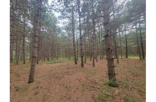 LOT 114 County Road Z, Arkdale, WI 54613