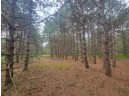 LOT 114 County Road Z, Arkdale, WI 54613