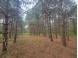 LOT 114 County Road Z Arkdale, WI 54613