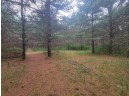 LOT 114 County Road Z, Arkdale, WI 54613