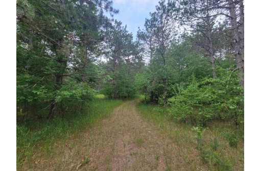 LOT 114 County Road Z, Arkdale, WI 54613