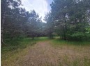 LOT 114 County Road Z, Arkdale, WI 54613