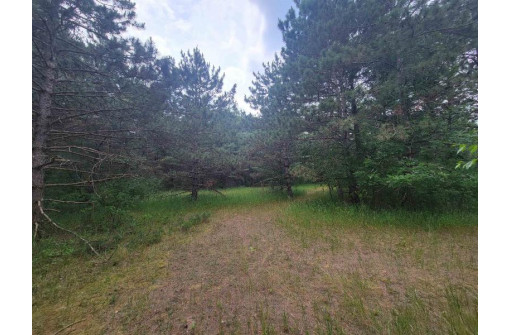 LOT 114 County Road Z, Arkdale, WI 54613