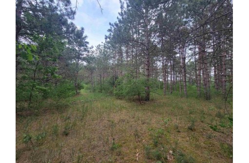 LOT 114 County Road Z, Arkdale, WI 54613