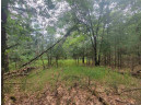 LOT 114 County Road Z, Arkdale, WI 54613