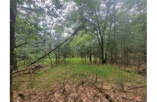 LOT 114 County Road Z, Arkdale, WI 54613