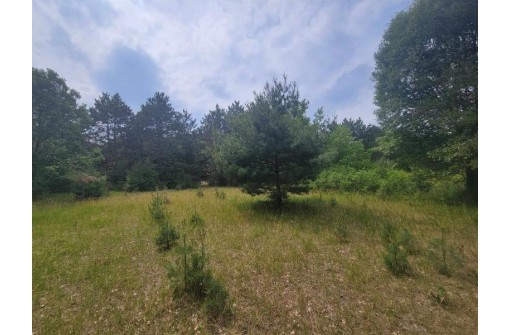 LOT 114 County Road Z, Arkdale, WI 54613