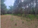 LOT 114 County Road Z, Arkdale, WI 54613