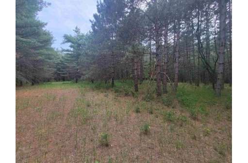 LOT 114 County Road Z, Arkdale, WI 54613