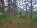 LOT 113 Beaver Lane, Arkdale, WI 54613