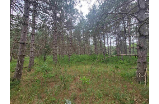 LOT 113 Beaver Lane, Arkdale, WI 54613