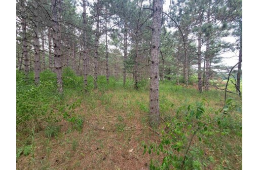 LOT 113 Beaver Lane, Arkdale, WI 54613