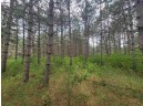 LOT 113 Beaver Lane, Arkdale, WI 54613