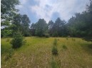 LOT 113 Beaver Lane, Arkdale, WI 54613