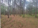 LOT 113 Beaver Lane, Arkdale, WI 54613