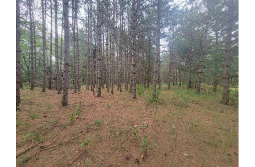 LOT 113 Beaver Lane, Arkdale, WI 54613