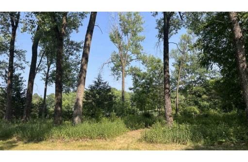 LOT 42 S Fern Lane, Oxford, WI 53952