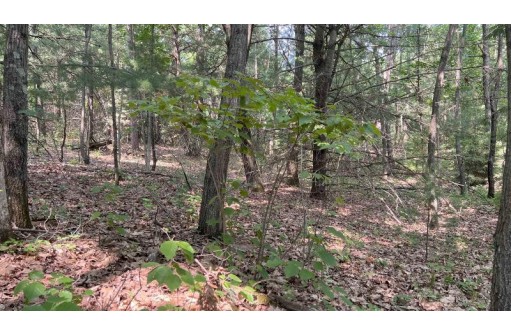 LOT 42 S Fern Lane, Oxford, WI 53952