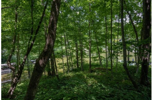 LOT 18 Canary Court, La Valle, WI 53941-0000