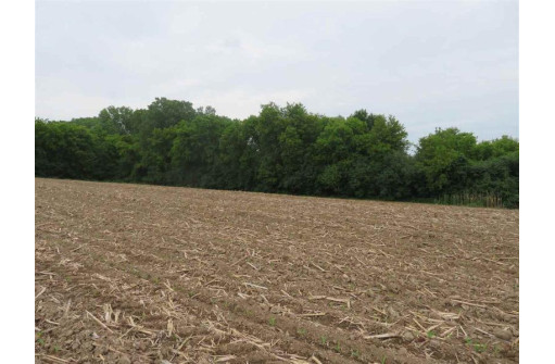 31.3 AC Marsh Trail, Beaver Dam, WI 53916