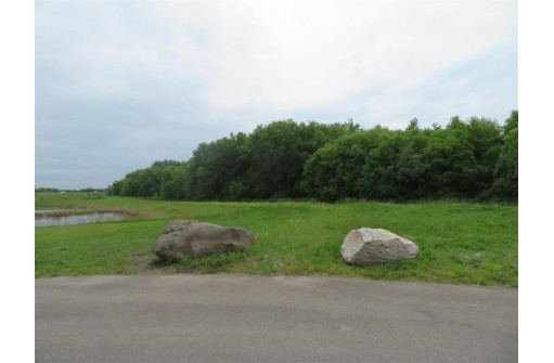 31.3 AC Marsh Trail, Beaver Dam, WI 53916