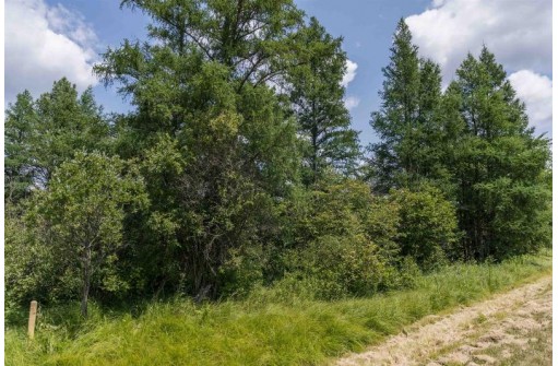 39.74AC County Road J, Friendship, WI 53934