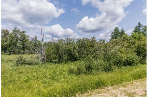 39.74AC County Road J, Friendship, WI 53934