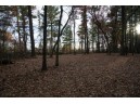 LOT 21 7th Street, Nekoosa, WI 54457