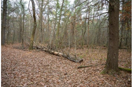 LOT 21 7th Street, Nekoosa, WI 54457