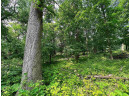 LOT 9 Blue Cedar Drive, Verona, WI 53593