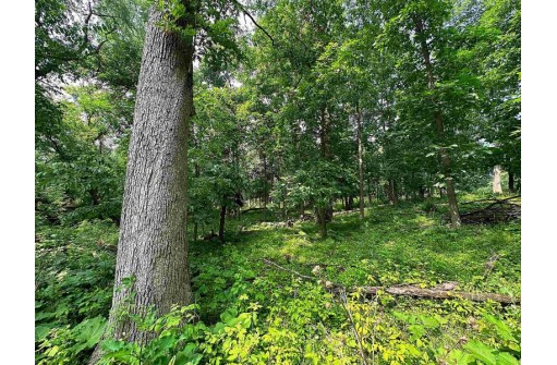 LOT 9 Blue Cedar Drive, Verona, WI 53593