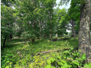 LOT 9 Blue Cedar Drive, Verona, WI 53593