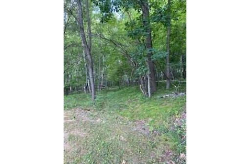 18403 Island Road, Tomah, WI 54660