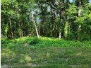 L9 St Lawrence Bluff Road, Poynette, WI 53955