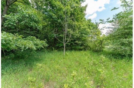 L991 S Dutch Hollow Road, La Valle, WI 53941